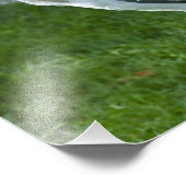 真良坊 フォトプリント            (角)