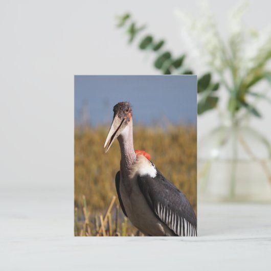 真良坊 ポストカード (スタンド正面)