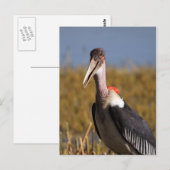 真良坊 ポストカード (正面/裏面)