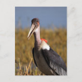 真良坊 ポストカード (正面)