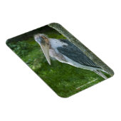 真良坊 マグネット (右側)