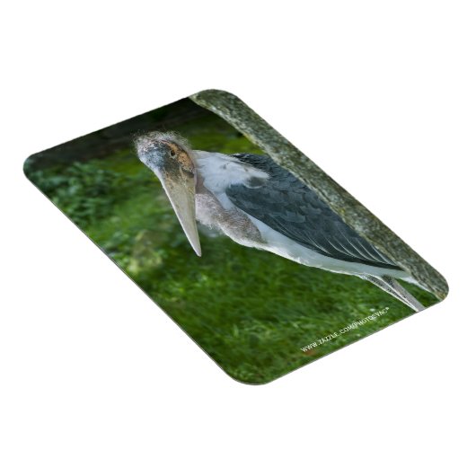 真良坊 マグネット (右側)