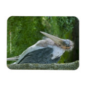 真良坊 マグネット (横)