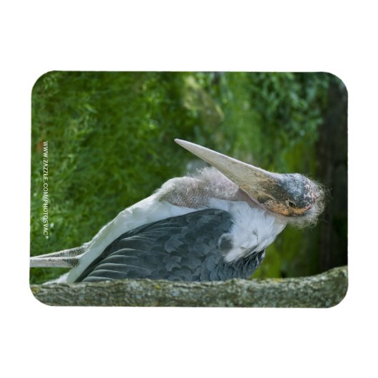 真良坊 マグネット (横)