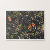 真菌の夢 ジグソーパズル (横)