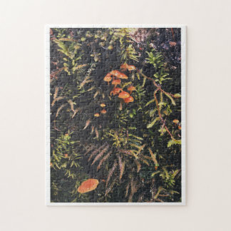 真菌の夢 ジグソーパズル