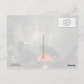 真菌の専門家 ポストカード (裏面)