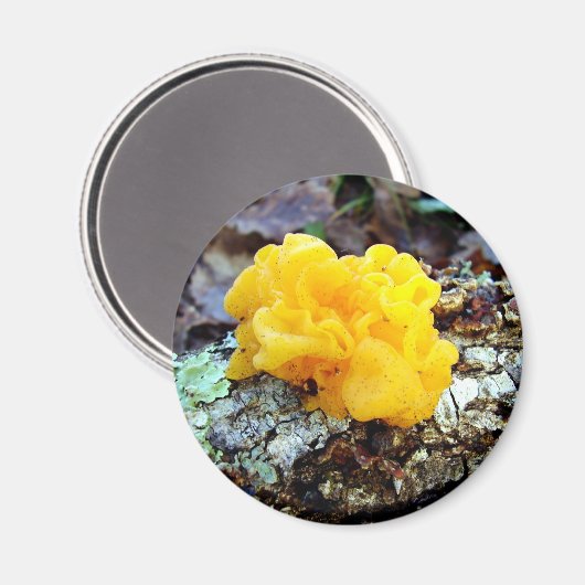 真菌トレメッラメセンテリカマッシュルーム磁石 マグネット (正面/裏面)
