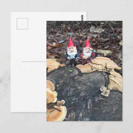 真菌格言 ポストカード (正面/裏面)