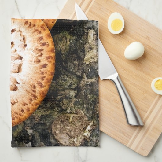 真菌 キッチンタオル (四つ折り)