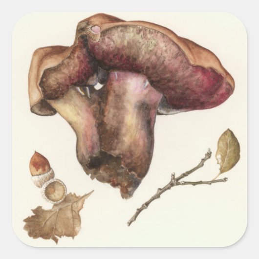 真菌 スクエアシール (正面)