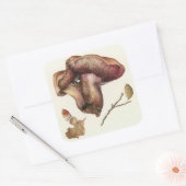 真菌 スクエアシール (封筒)