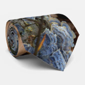 真菌 ネクタイ (ロール)