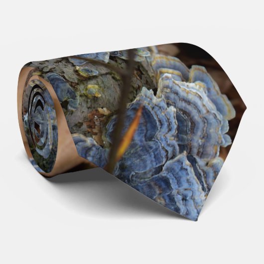 真菌 ネクタイ (ロール)