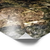 真菌 フォトプリント            (角)