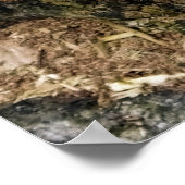 真菌 ポスター (角)