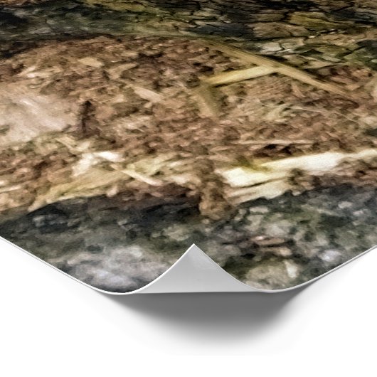 真菌 ポスター (角)