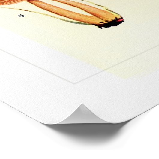 真菌 ポスター (角)