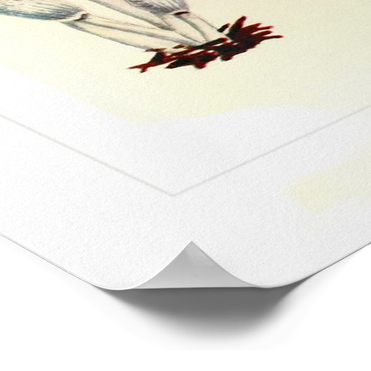 真菌 ポスター (角)