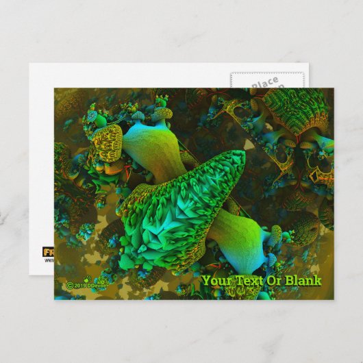 真菌 ポストカード (正面/裏面)