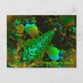 真菌 ポストカード (正面)