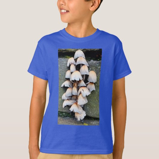 真菌 Tシャツ (正面)
