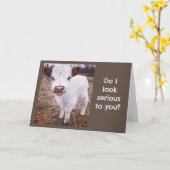 真面目で可愛い牛が「ハッピーバースデー」と言う カード (黄色い花)