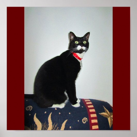 真面目なルーシー ポスター (正面)