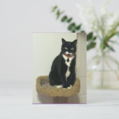 真面目なルーシー ポストカード (スタンド正面)