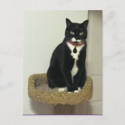 真面目なルーシー ポストカード (正面)