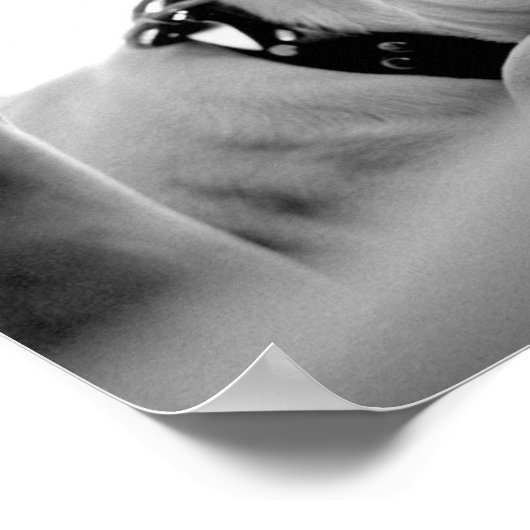 真面目な横目。 ポスター (角)