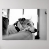 真面目な横目。 ポスター (正面)