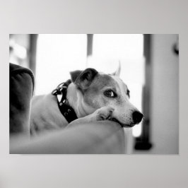 真面目な横目。 ポスター