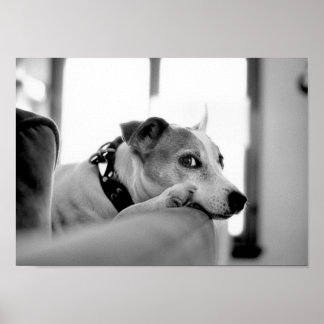 真面目な横目。 ポスター