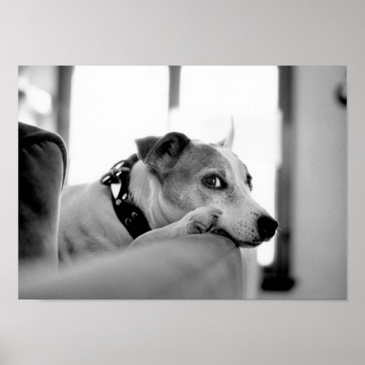 真面目な横目。 ポスター (正面)