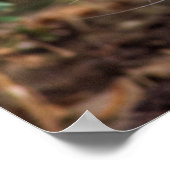 真面目な白猫 ポスター (角)