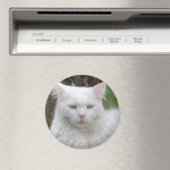 真面目な白猫 マグネット (インサイチュ (食洗機))