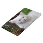 真面目な白猫 マグネット (左側)