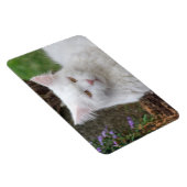 真面目な白猫 マグネット (右側)