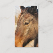 眠いばん馬の名刺 名刺 (裏面)