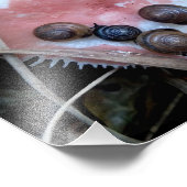 眠いカタツムリ フォトプリント            (角)