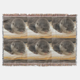 眠いカワウソ スローブランケット