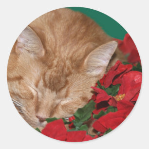 眠いクリスマスの子猫 ラウンドシール