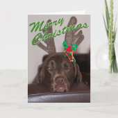 眠いクリスマスドッグ着用グリッター〔雄ジカの〕枝角 シーズンカード (正面)