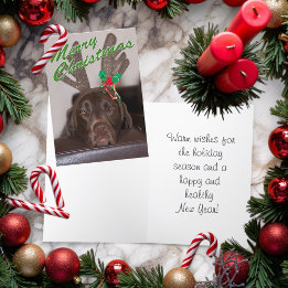 眠いクリスマスドッグ着用グリッター〔雄ジカの〕枝角 シーズンカード