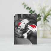 眠いクリスマスピットブル子犬かわいいサンタ シーズンポストカード (スタンド正面)