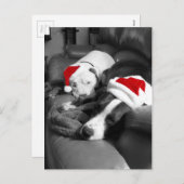 眠いクリスマスピットブル子犬かわいいサンタ シーズンポストカード (正面/裏面)