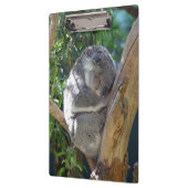 眠いコアラ クリップボード (左)