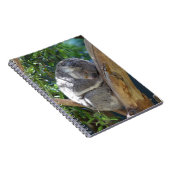 眠いコアラ ノートブック (右側)