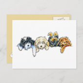 眠いコカポス ポストカード (正面/裏面)